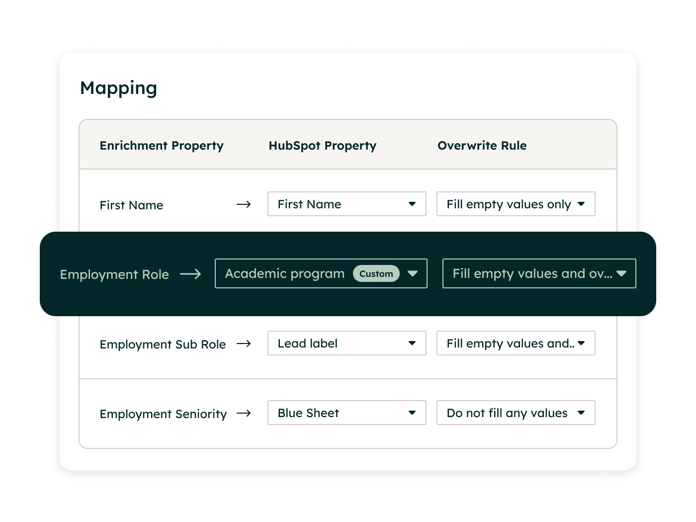 HubSpot CRM Platform Support